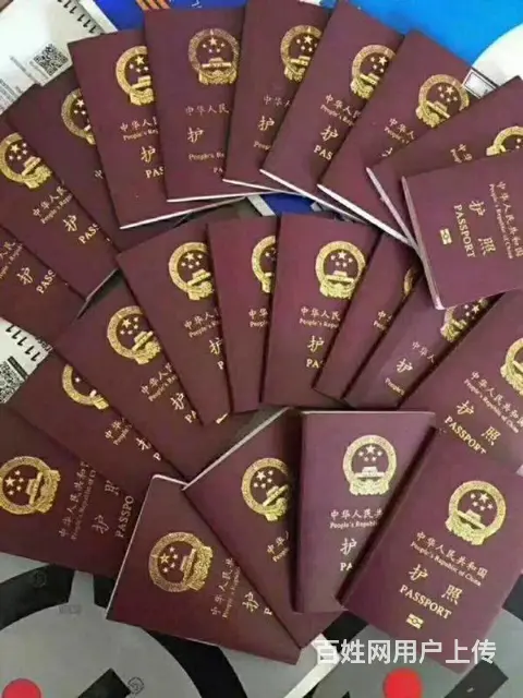 出国劳务 美丽新西兰高薪保签 0风险法律保障 - 图片 3