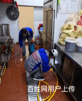 商丘除四害费用商丘绿佳环保 - 图片 1