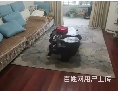 六安市裕安区佛子岭路邦锦绣华府 普通住宅 简单装修 - 图片 1
