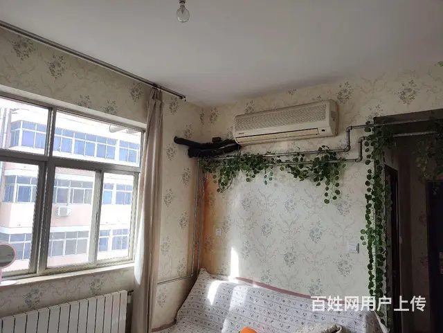 新都汇科大二附院小商品市场三室一厅领包 - 图片 10