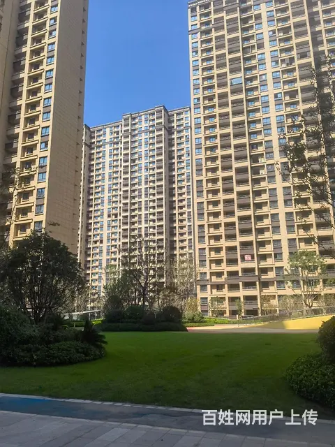 房屋出租 - 图片 3