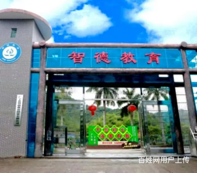 广东肇庆叛逆网瘾逃学早恋孩子教育学校,广东智德教育 - 图片 12