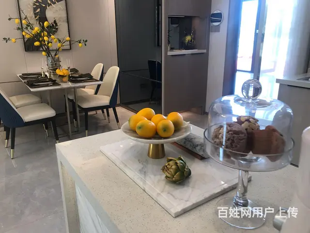 龙湖春江彼岸89两室两厅电梯洋房 - 图片 10