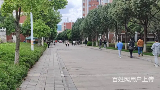 （51旺铺推荐）安宁云南经济管理学院16平档口招商 - 图片 11