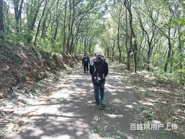 诚心征婚 - 图片 4