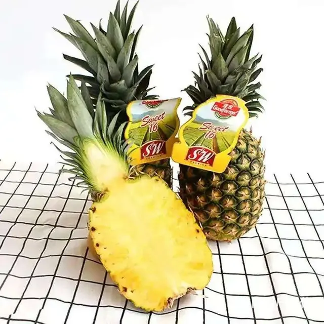 水果供应商配送上门酒店食堂单位批发市场 - 图片 8