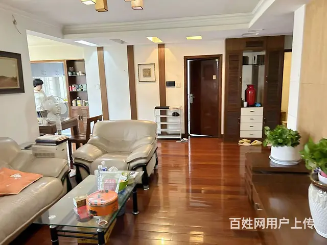 文新嘉绿西苑3室南好房急租 - 图片 9