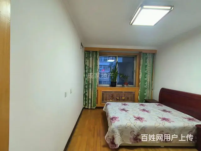 地铁旁吉房出租房源编号127931 - 图片 5