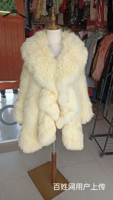 合肥干洗店技术培训.洗衣洗鞋皮具护理培训 - 图片 6