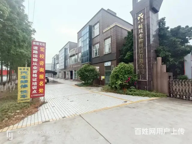 广汉市金鱼镇800平营业房出租（什邡还有一个库房出租） - 图片 4