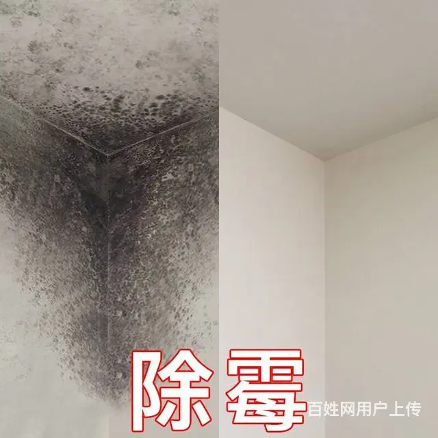 广州上门除霉公司，越秀区正规除发霉，办公室除霉服务 - 图片 2