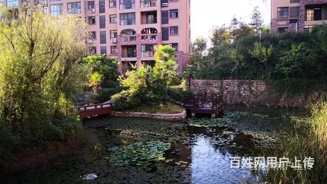 坐落于风景区小区环境优美 - 图片 3