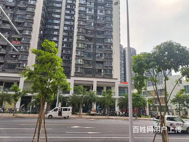 （51旺铺推荐）坡博路70平临街药店转让 - 图片 6