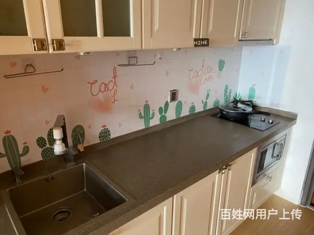 新城国际公寓 北郊国际中学附近 一室一厅一卫 - 图片 5