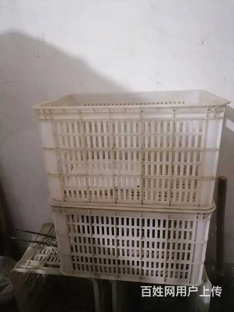 七个卖菜白框子打包卖了 - 图片