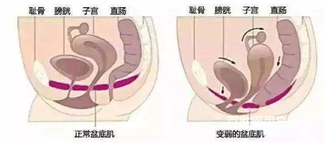 免费培训产后修复技术 - 图片 5