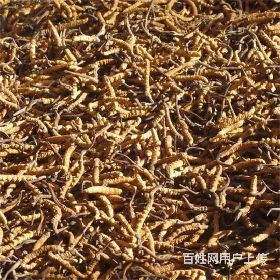 通知：杞县回收烟酒礼品店开业-茅台酒收购价格提升 - 图片 7