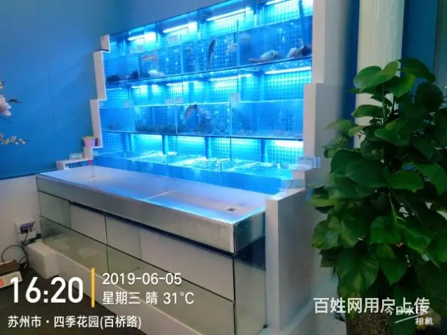 定做海鲜缸 - 图片 1