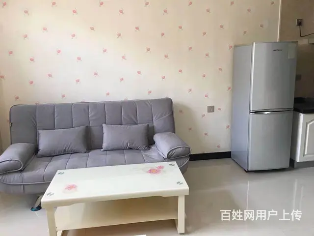 万和新精装公寓 - 图片 2