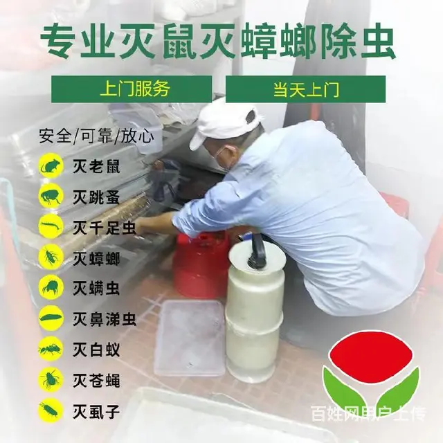 东平县抓老鼠晨曦控虫专业团队 - 图片 4
