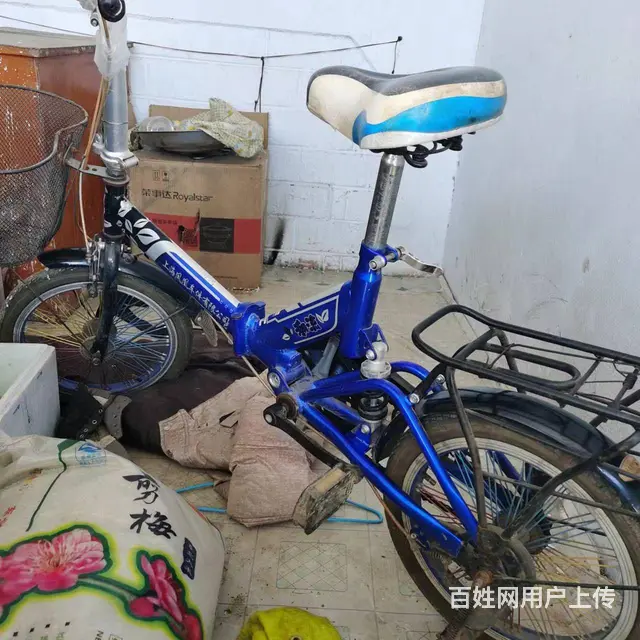 双辐条折叠自行车双辐条折叠自行车 - 图片 1