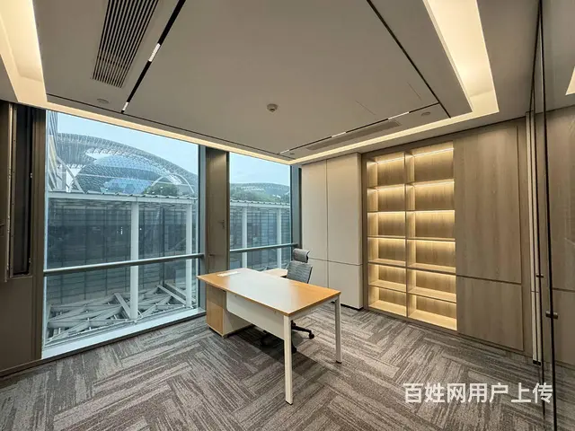 博览中心地铁口 甲级CBD看江 莲花 家具配套高端商办办公楼 - 图片 10