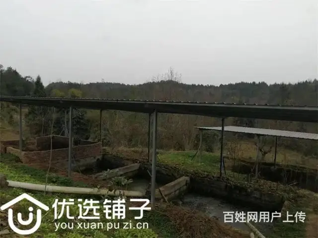 （优选铺子）巴州区曾口镇2200平养殖3万出租（可出售） - 图片 5