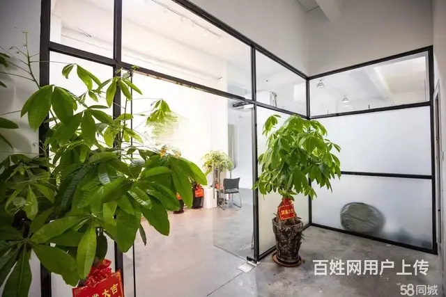 岛内厂房loft空间办公仓储摄影棚展厅直播间空间出租 - 图片 5