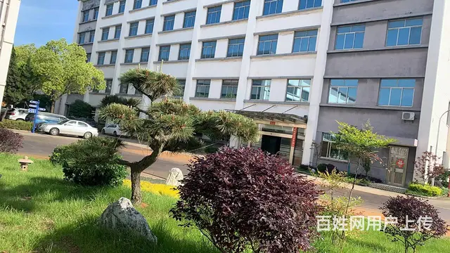 厂房办公大楼出租 - 图片 1