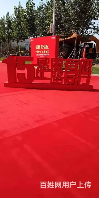 沈阳元旦主题绿雕,圣诞主题包装,商业美陈设计树亮化 - 图片 12