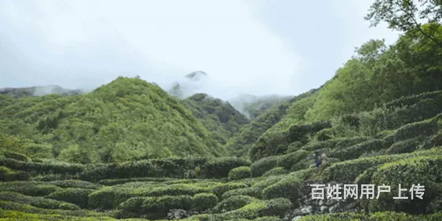 遇一人 归田园 - 图片 2
