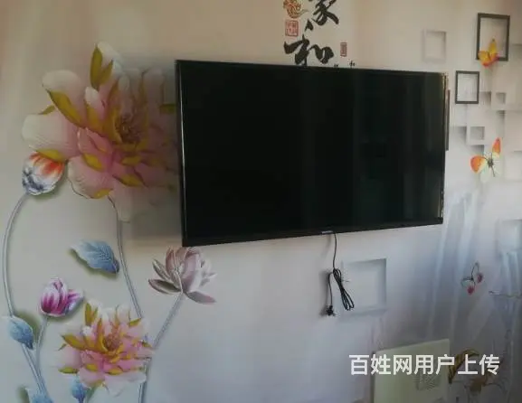 个人 免中介费 豪华装 - 图片 8
