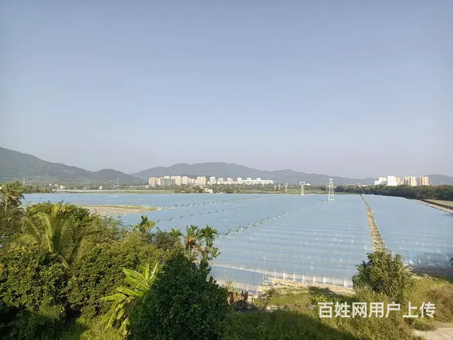 （51旺铺推荐）凤凰镇2000平铺面出租 - 图片 12