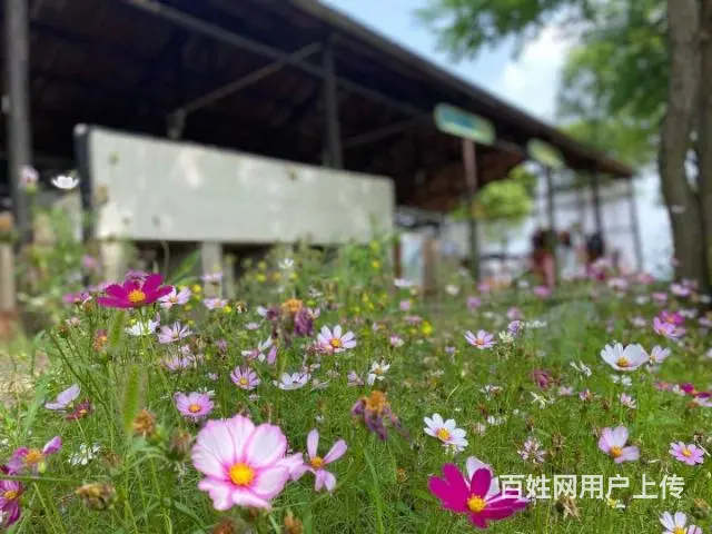 合肥团建选蓝山湾，拓展大锅灶做饭团建 - 图片 1