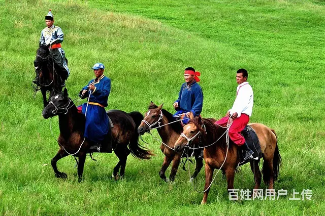呼伦贝尔大草原旅游自由行包车找常师傅靠谱 - 图片 8