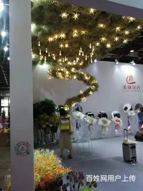 昆明斗南花卉批发市场美旗花卉基地直发满天星康乃馨 - 图片 5