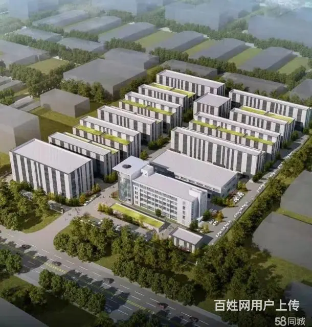 金山桥高铁站厂房出售出租 证件齐全 - 图片 4