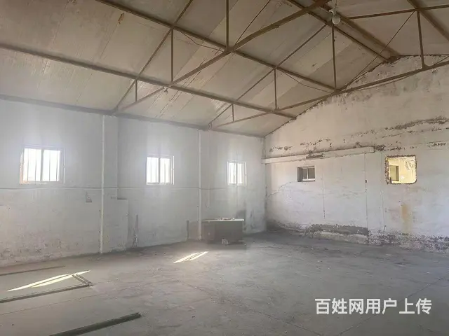 （新房源）张村前双岛村独门独院厂房招租 - 图片 5