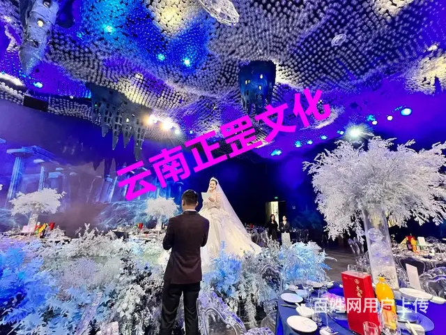 婚礼策划、场地布置、灯光音响、花艺、摄影摄像、演出 - 图片 3