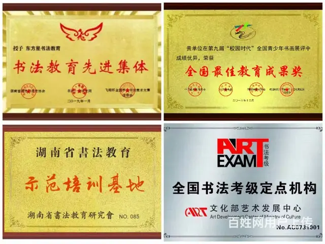 长沙书法艺考培训学校,选东方星书法高考 -专业纯粹 - 图片 5