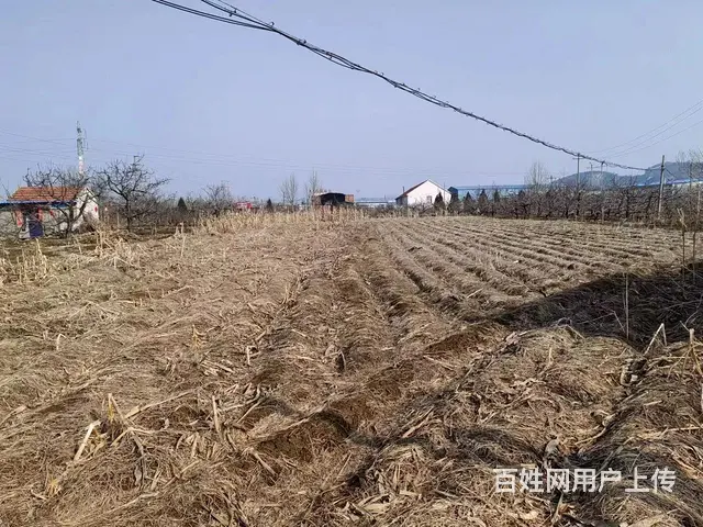 出租福山门楼两甲庄村土地，交通便利，水电齐全，可进大车 - 图片 1