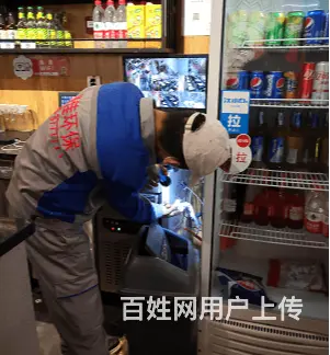 商丘灭蟑螂电话 - 图片 1