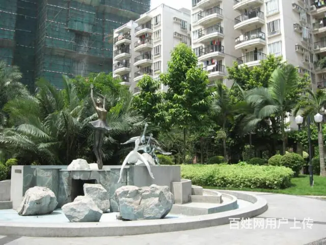 白天鹅花园二期 释心少见淡定导 培养默契你才行！ - 图片 12