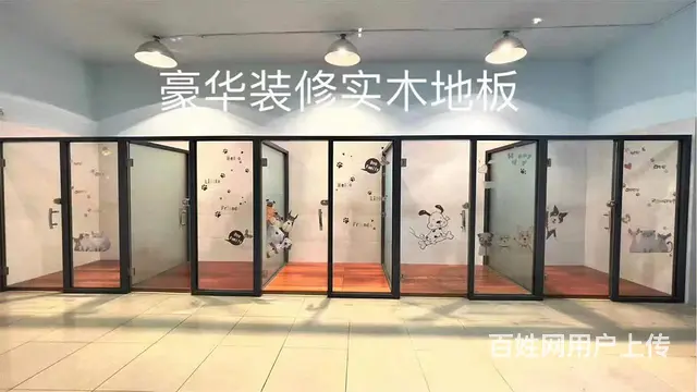 常熟训犬基地宠物寄养 - 图片 3