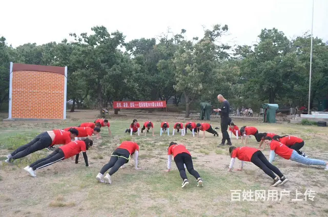 工商营业执照（三证合一）、公章财务章法人章一套 - 图片 6