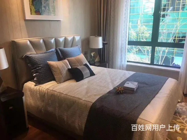 优优学府 精装修住宅 实验小学 师范附属学校，湿地 - 图片 4