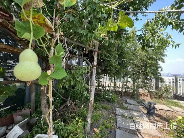 复兴钱江时代公寓589.98平4200.00万元别墅热卖 - 图片 10
