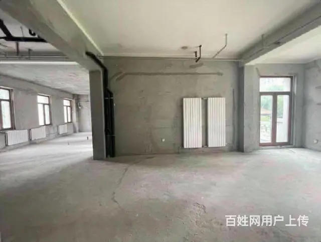 汇锦独栋庄园 2000米别墅 花园600米 私家泳池 车库 - 图片 2