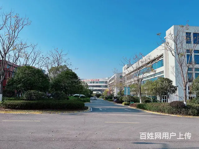 （老板本人）开福区标准园区独栋厂房/仓库/办公楼出租5872 - 图片 9