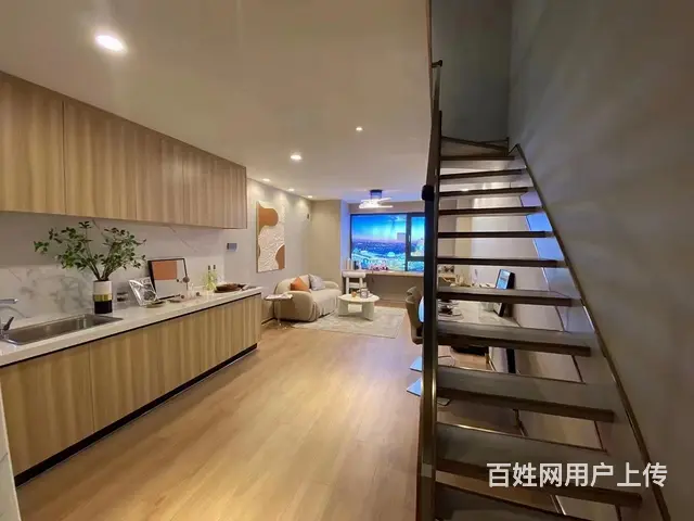 手付2W起新北恐龙园龙湖天街迪诺水镇旁复试挑高即买即用手慢无 - 图片 3